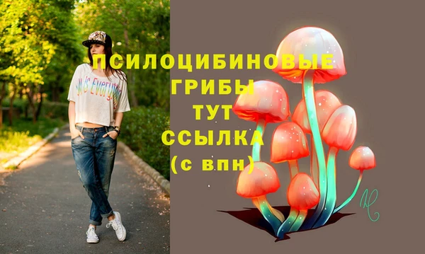 амф Зерноград